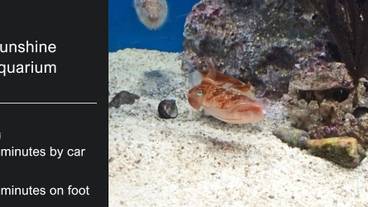 観光スポット / 11