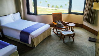 ルイガンズ　ツインルーム　禁煙(6-7F) 33m2