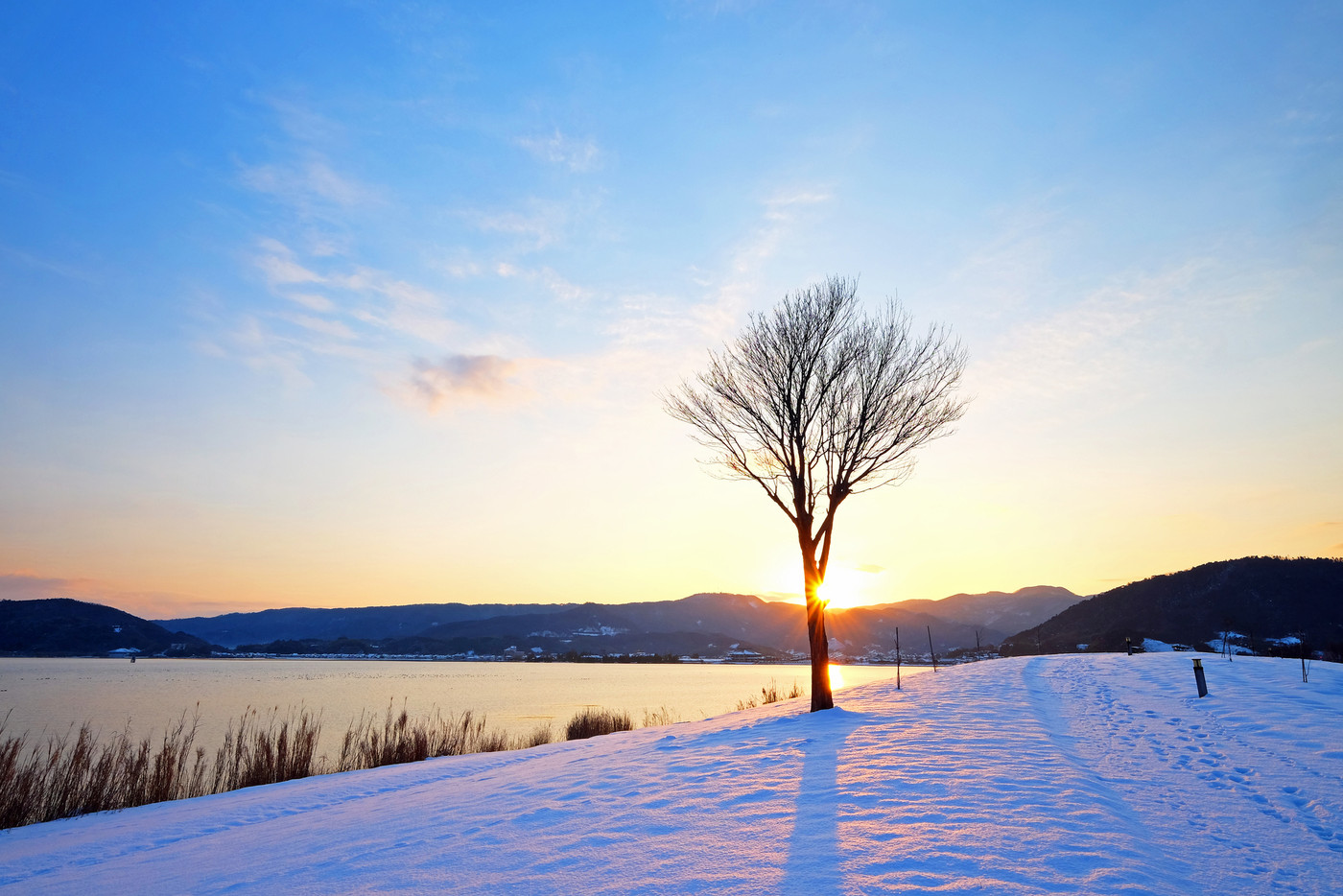 東郷池 雪 夜明け