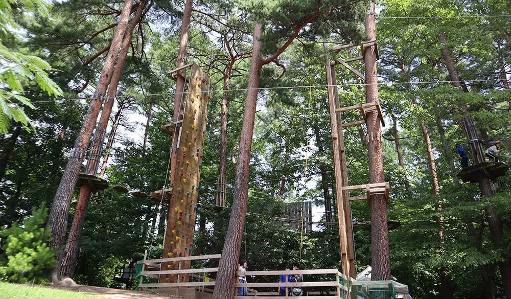 八ヶ岳の自然に触れられるエリアもありました。こちらは「森のクライミングウォール」で、家族みんなで遊んでいる方もいて楽しそう♪