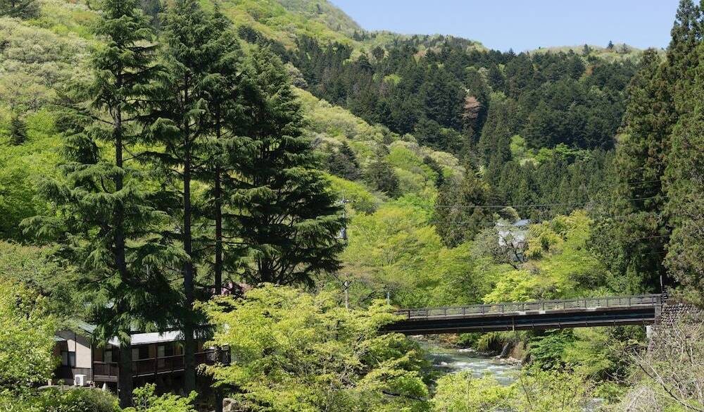 目の前は四万川
心地よさ抜群 / 1