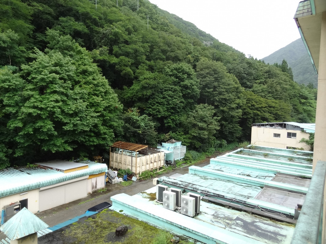 山側客室の眺望。