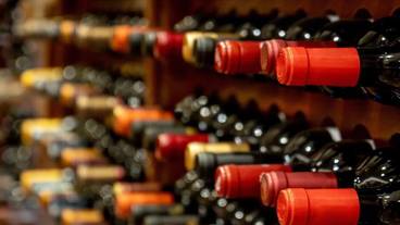 レストラン / 16