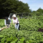 リゾナーレ那須（栃木県 リゾートホテル） / 5