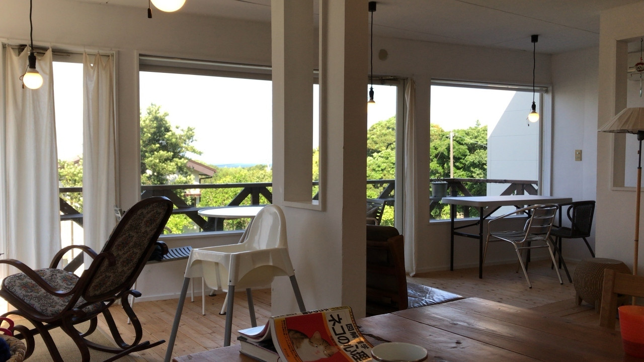 ニャンコたちから、エネルギッシュなパワーをもらえる4260587