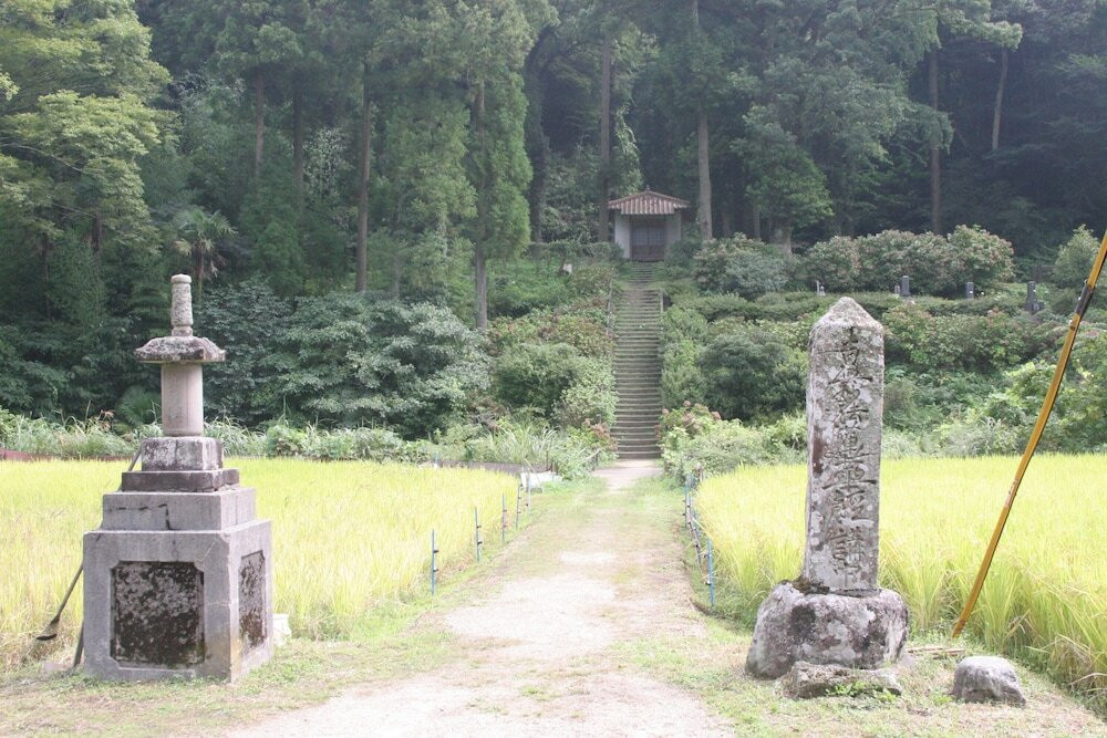 施設からの眺望