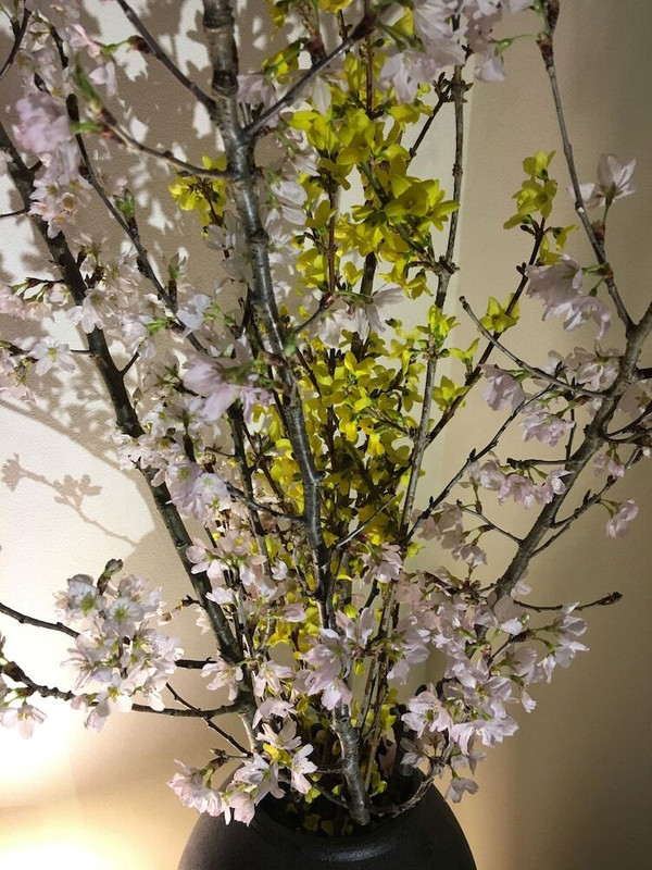 部屋からの景観