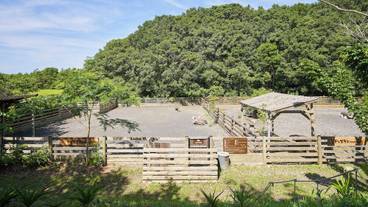 ペット用設備・サービス / 1