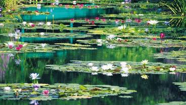 ランド ビュー / 22