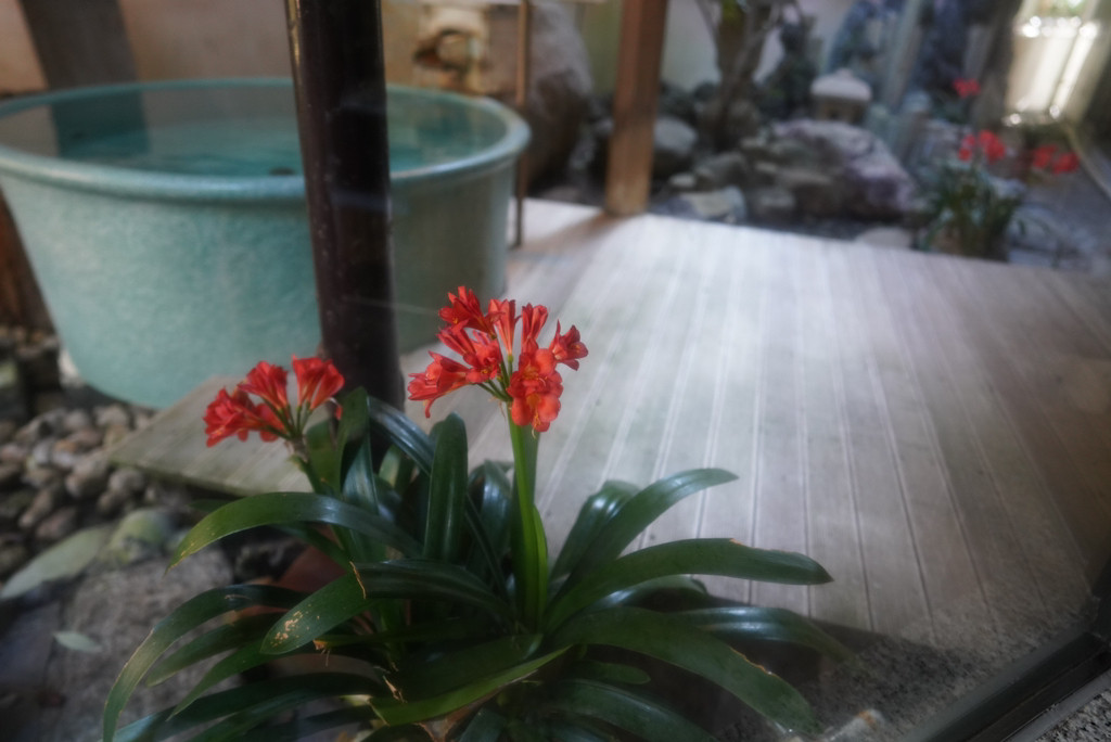 「熱海　さくらや旅館」 その他 174421772 部屋付きの露天風呂