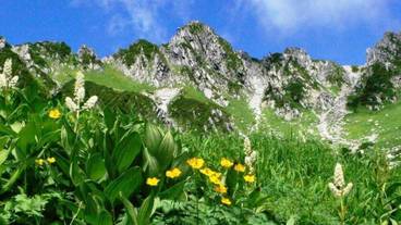 施設の敷地 / 22