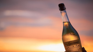 ハリウッドツインルーム（シティービュー）禁煙