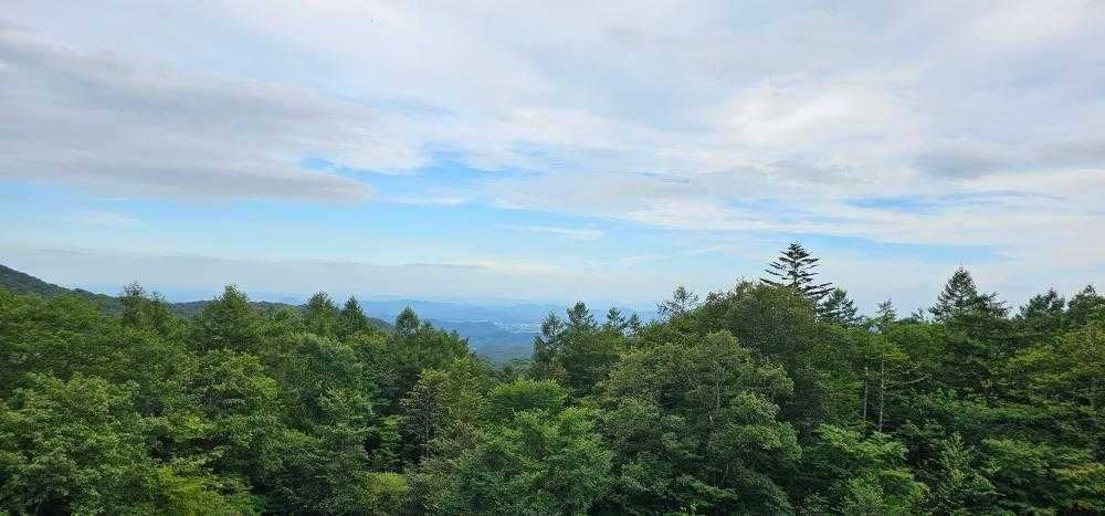 risa_first.sakura_24さんの写真 / 2