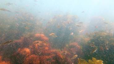 エコツアー / 15