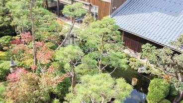 ガーデン ビュー / 25