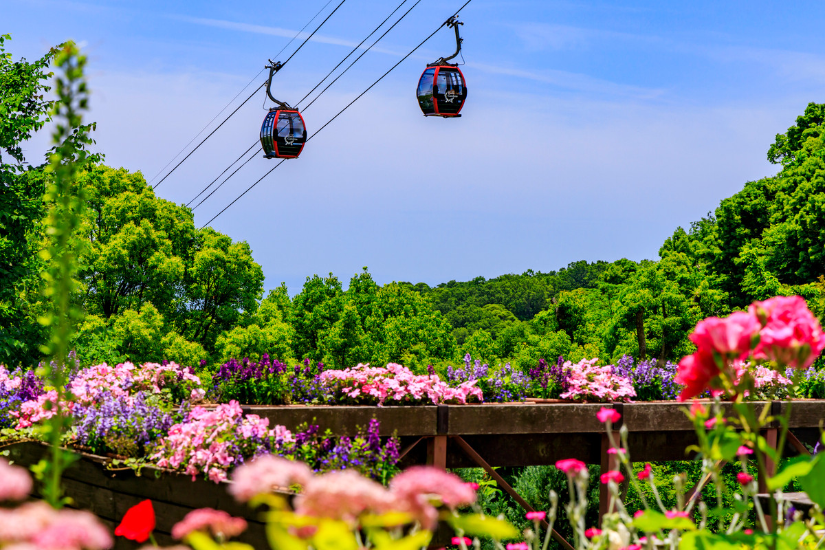 神戸布引ハーブ園・ロープウェイ