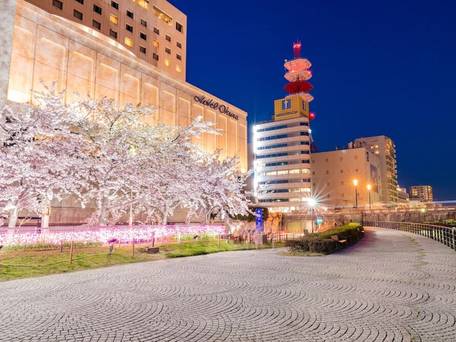 ホテルオークラ新潟 / 4