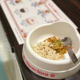 鳥羽わんわんパラダイスホテル（トバワンワンパラダイスホテル）