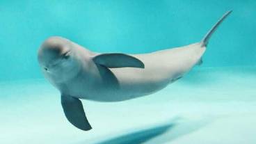 観光スポット / 5