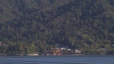 施設からの眺望 / 8