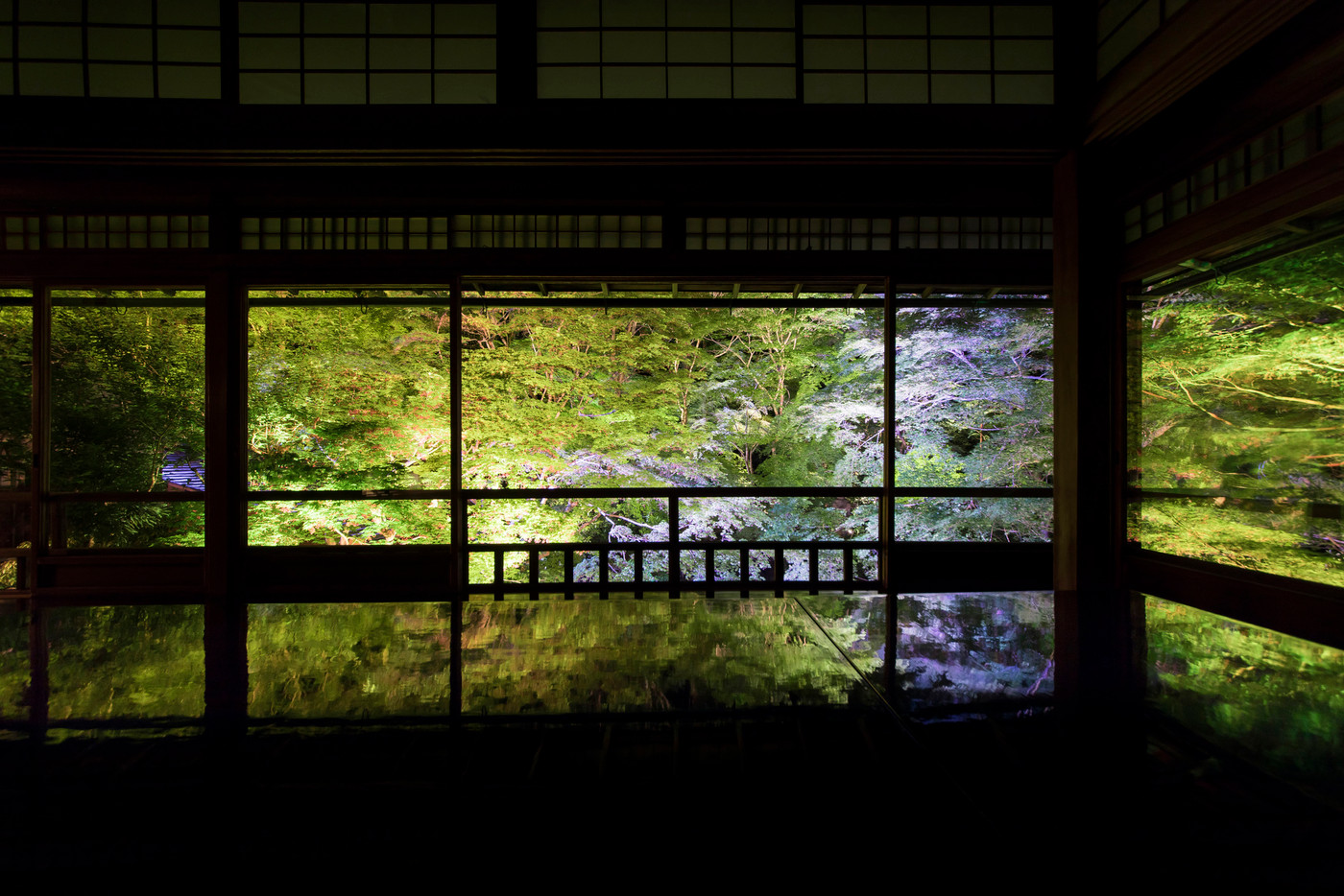 期間限定で公開される、夢のような絶景1860883