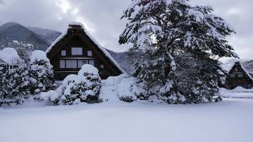 観光スポット / 24