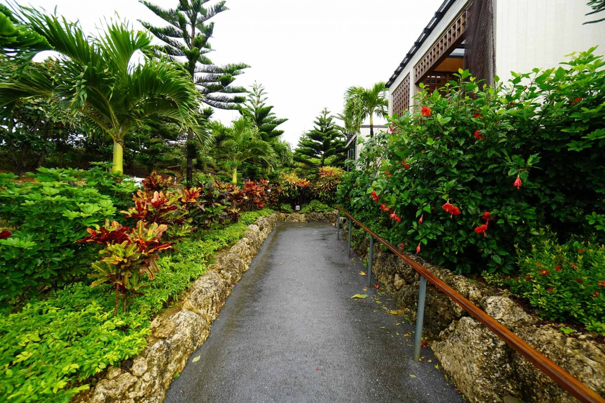 施設内の道（緑が多くて気持ち良いです）