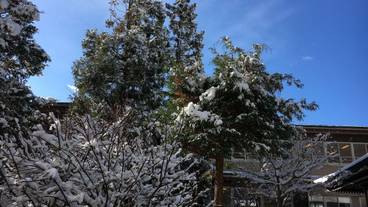 施設からの眺望 / 11