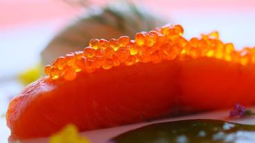 食事・飲み物 / 1