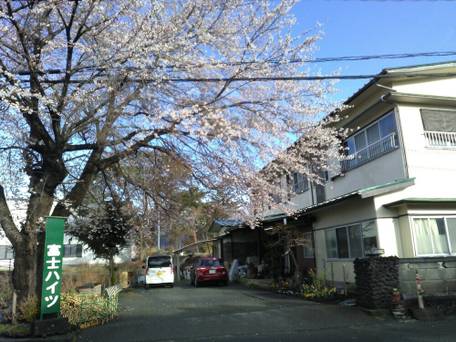 旅館富士ハイツ / 4