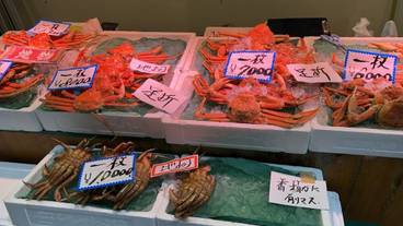 観光スポット / 5