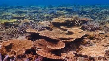 観光スポット / 8