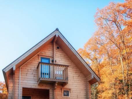 ワダノウッズ / 3