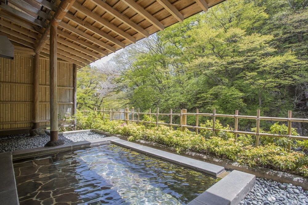 客室から眺める河津桜や清流の美しい景色3492534