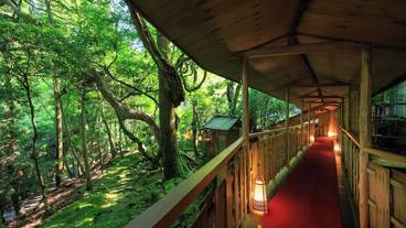 施設内の設備 / 1