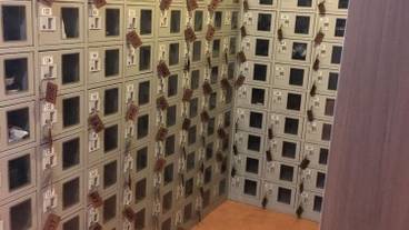 内部エントランス / 3