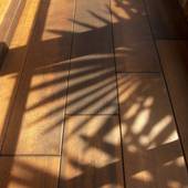 moons cafe（広島県 旅館） / 5