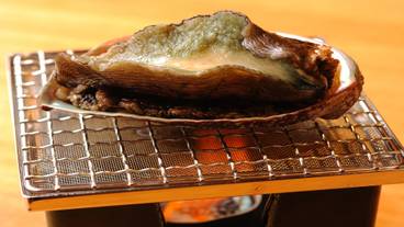 八幡野温泉郷 杜の湯 きらの里（ヤワタノオンセンキョウ モリノユ キラノサト） / 3