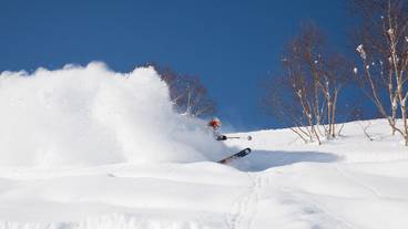 スノー スポーツとスキー / 1