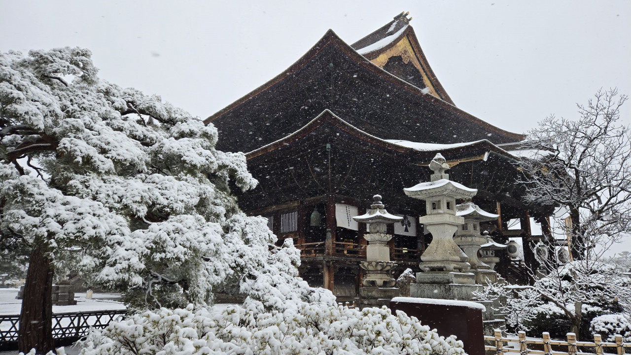 雪の善光寺は素敵でした