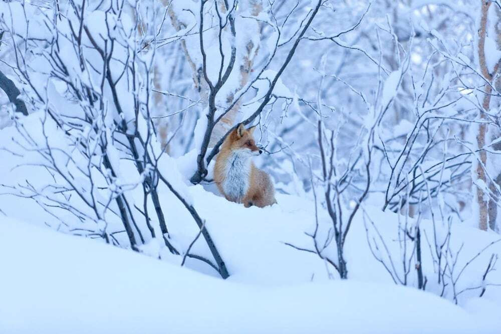 施設からの眺望