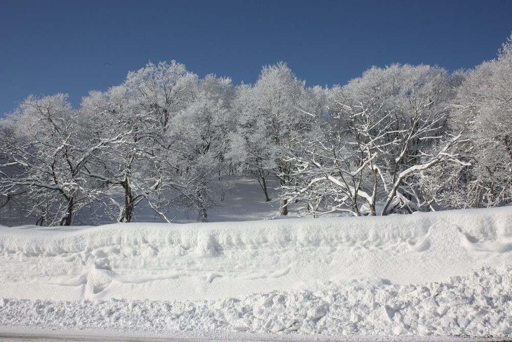 施設からの眺望