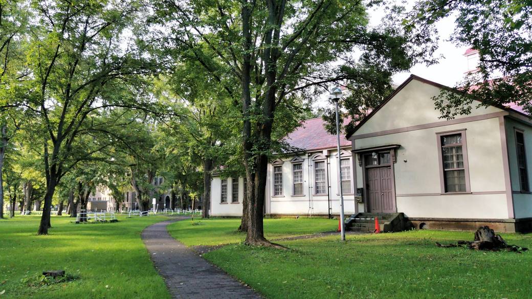 北海道大学 エルムの森 / 3