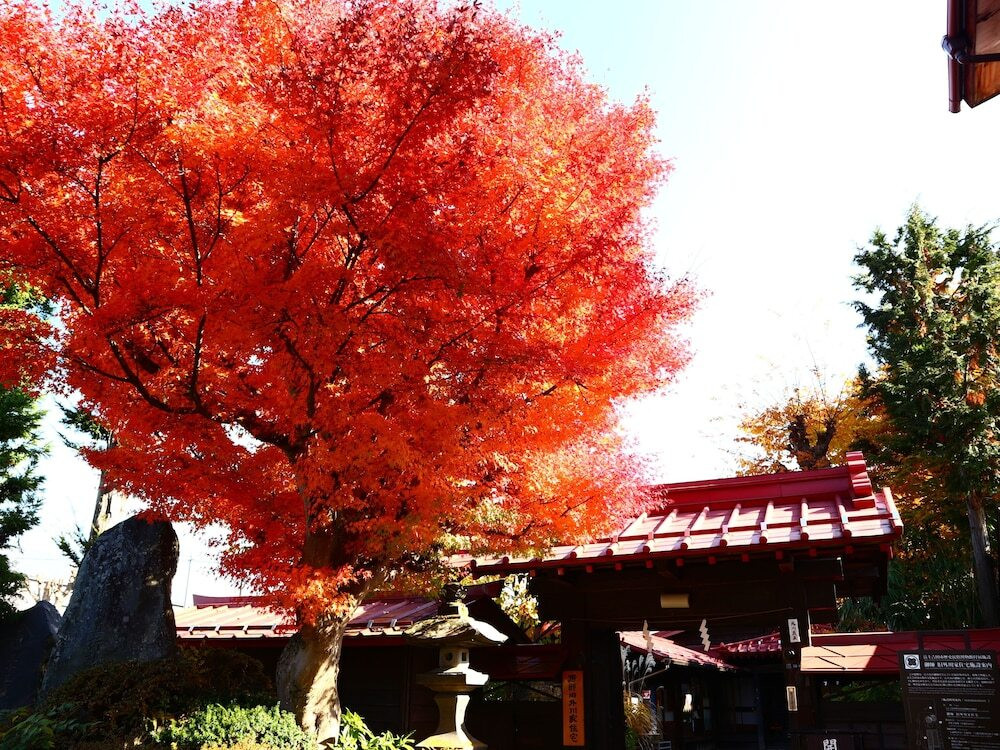 施設からの眺望