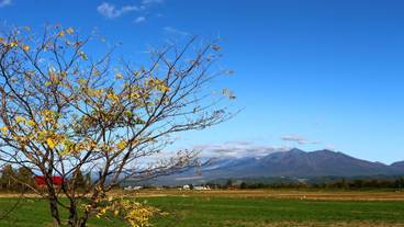 マウンテン ビュー / 5