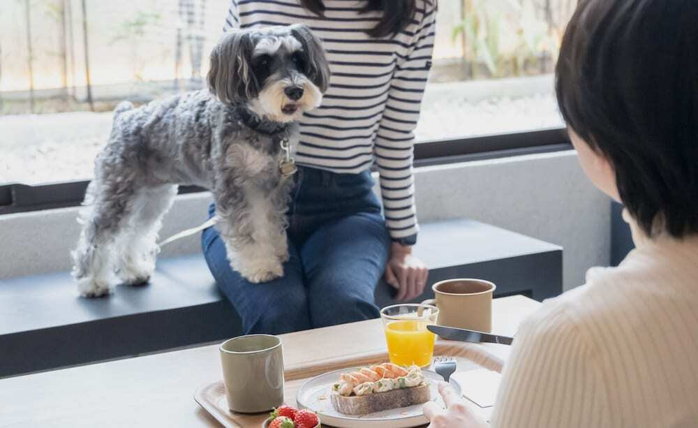 カフェ