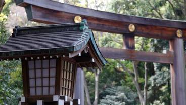 観光スポット / 8