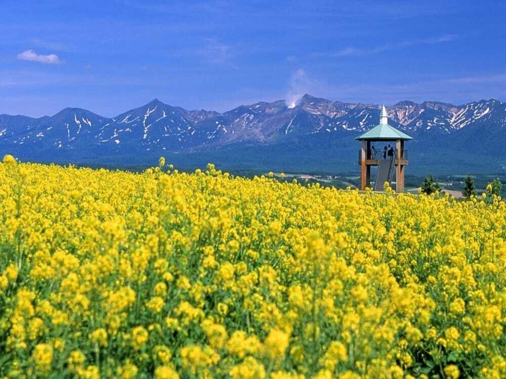 観光スポット