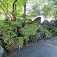 山鹿温泉 熊本旬彩の宿ゆとりろ山鹿