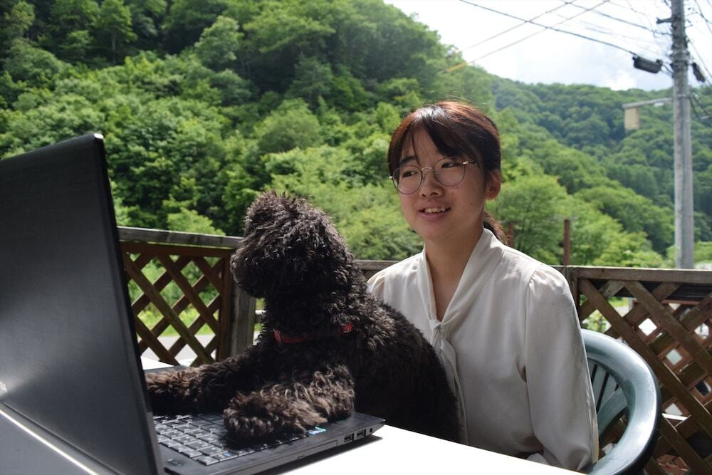 テラス / パティオ